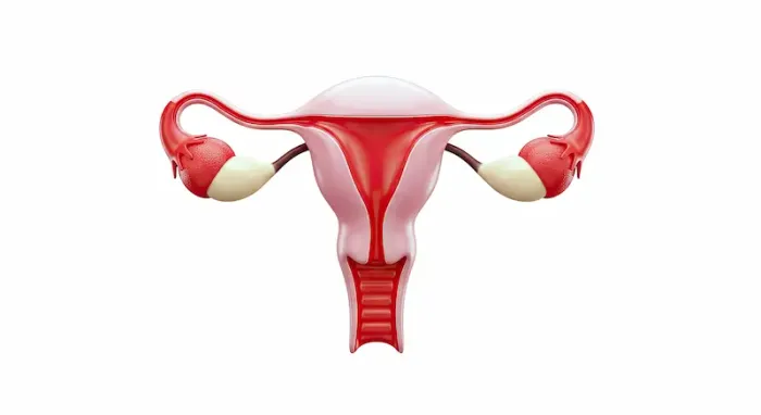 Spotting After Sex After Hysterectomy